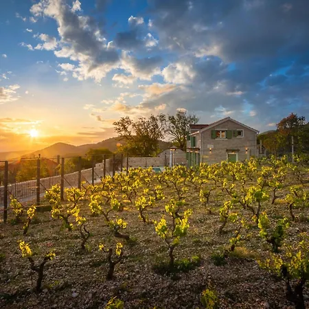 Villa Cavalleria Rusticana With Heated Pool And Vineyard Blizna Donja Exterior photo