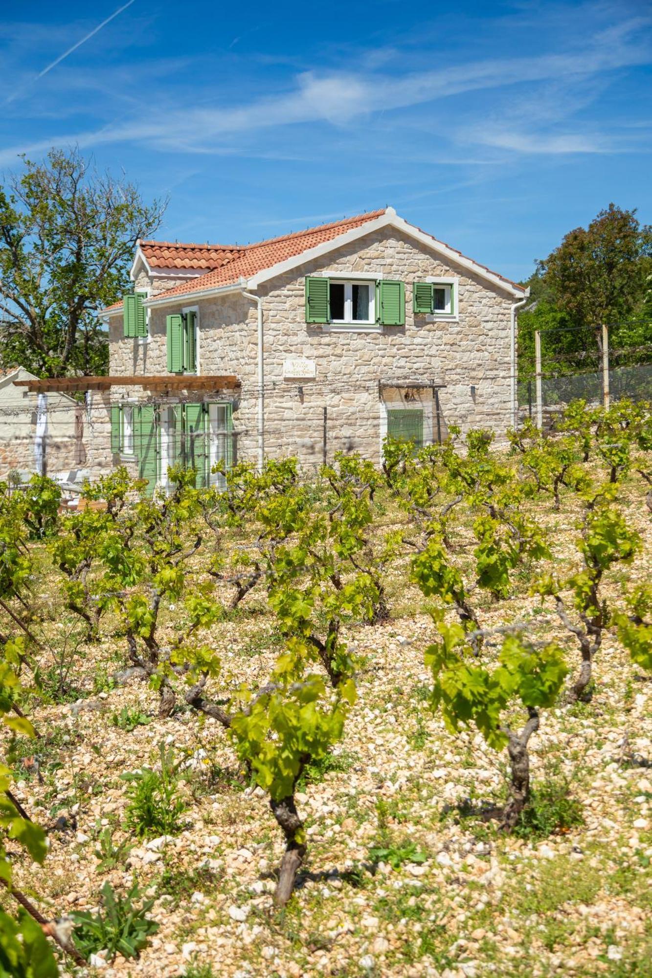 Villa Cavalleria Rusticana With Heated Pool And Vineyard Blizna Donja