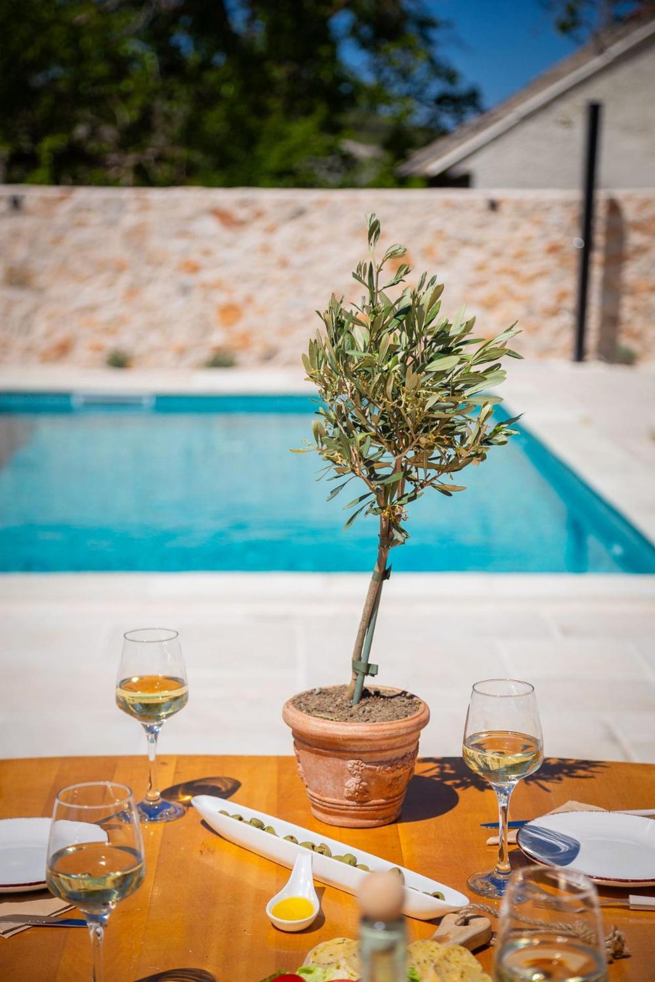 Cavalleria Rusticana With Heated Pool And Vineyard * Blizna Donja